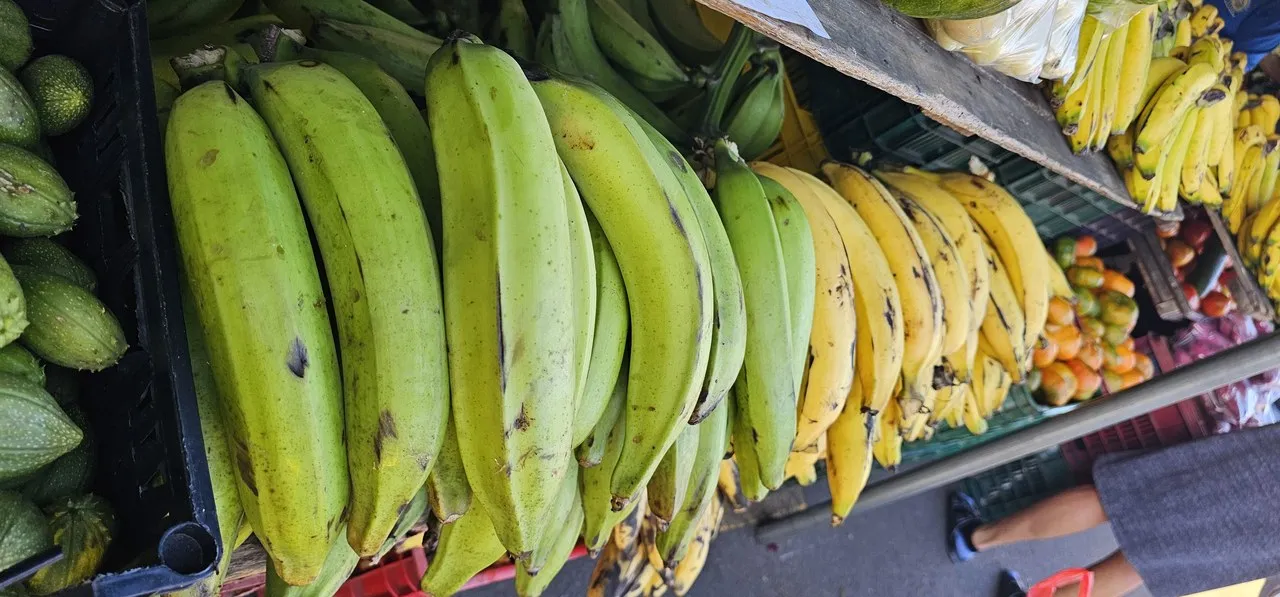 Green plantains and ripe bananas at a fruit stand, Costa Rica